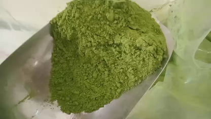 Pure Amla Hair Oil for Grey Hair & Dandruff - Test